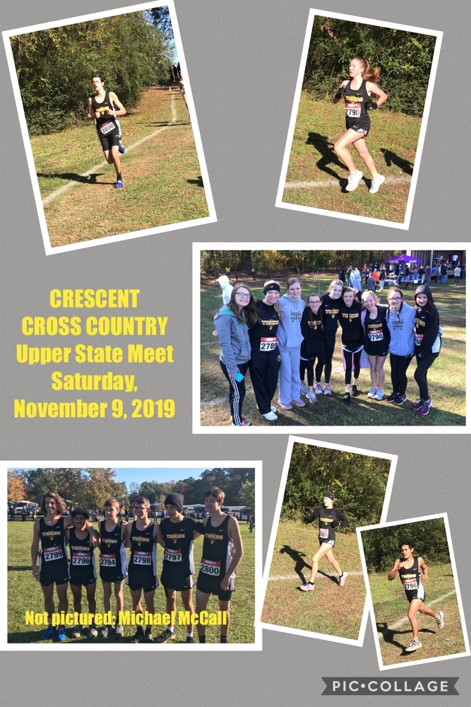 Tiger Cross Country State-Bound