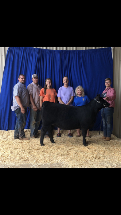 Nick Bowman, Reserve Grand Champion Angus and Fifth Overall Female. 