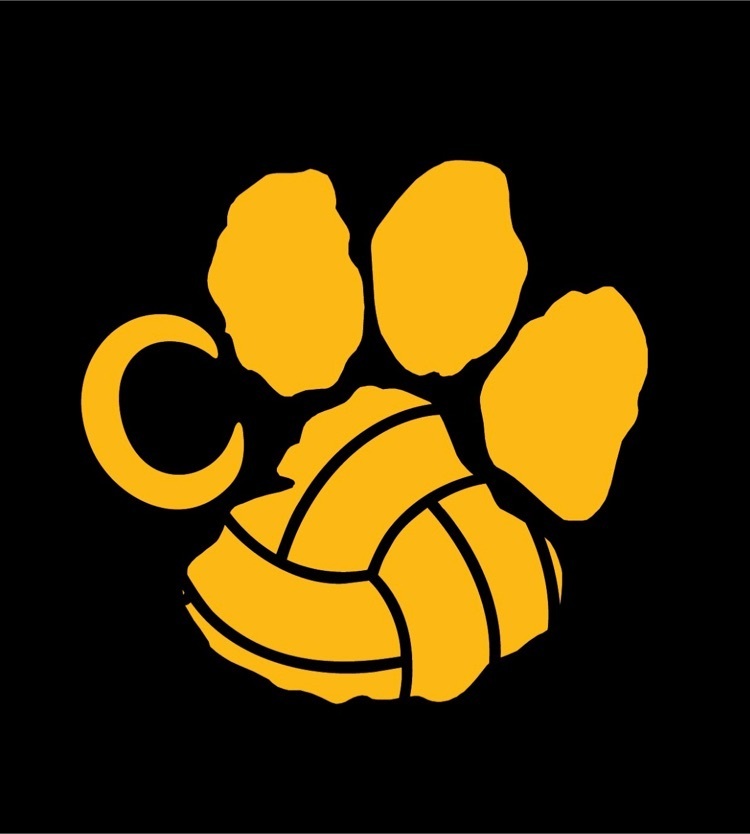 vb