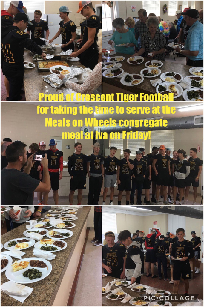 Tiger @ Meals on Wheels