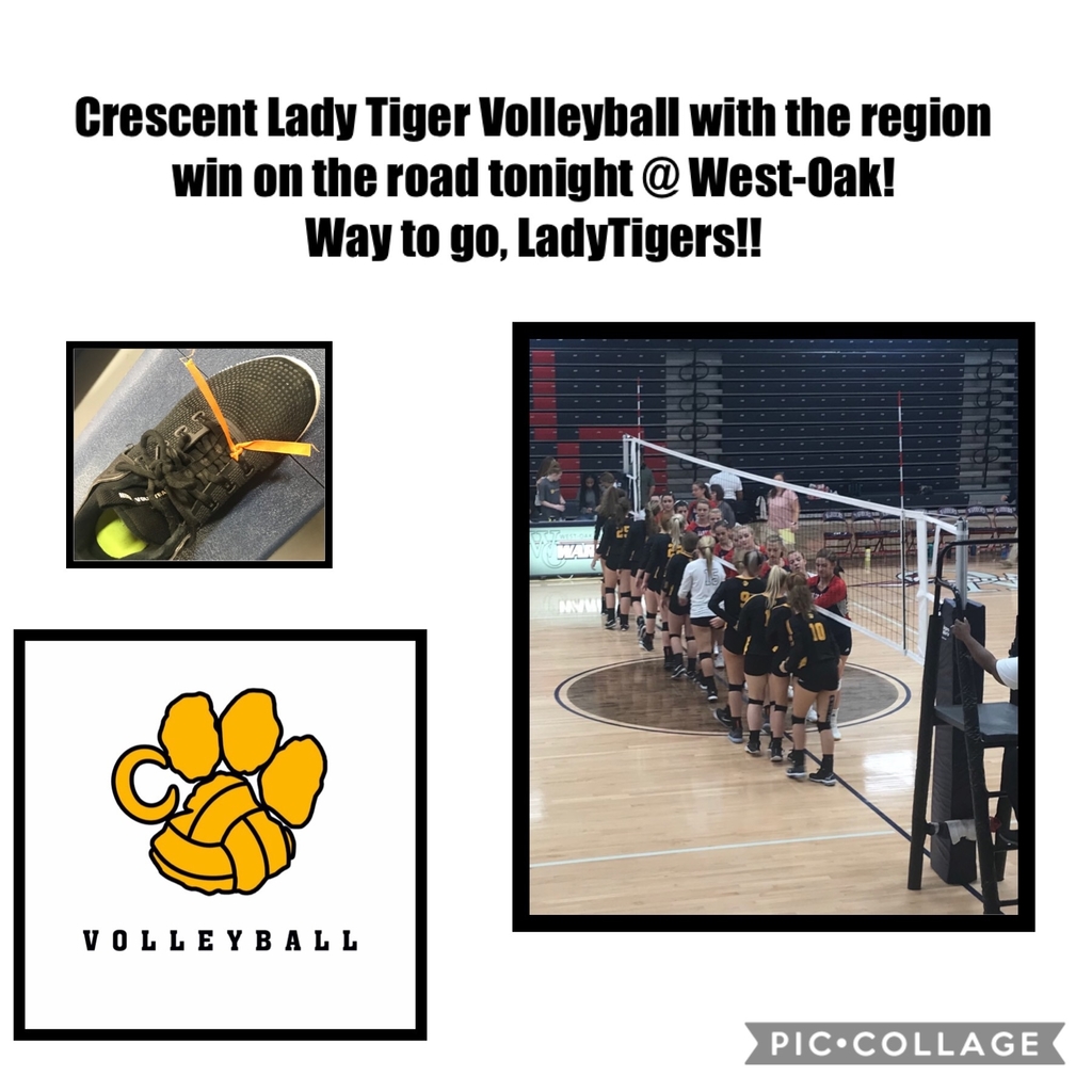 Vball