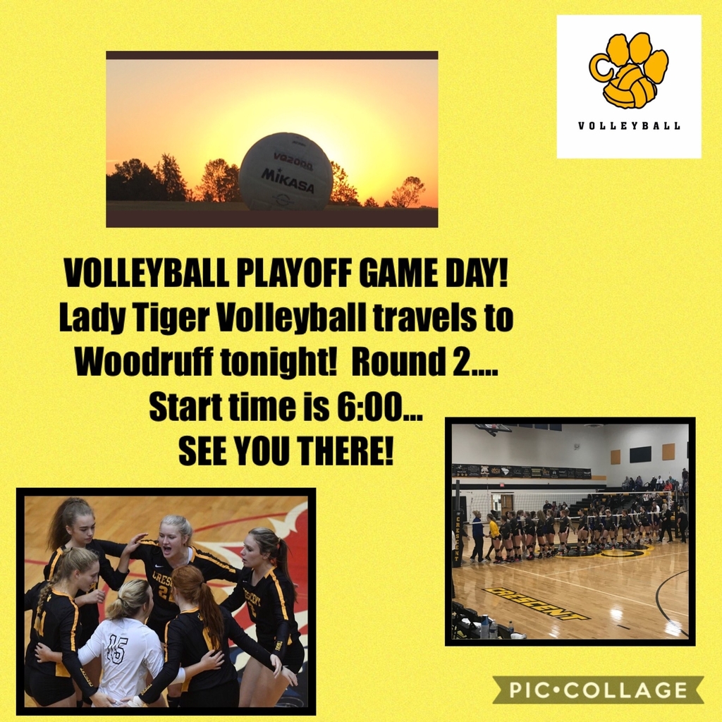 Vball