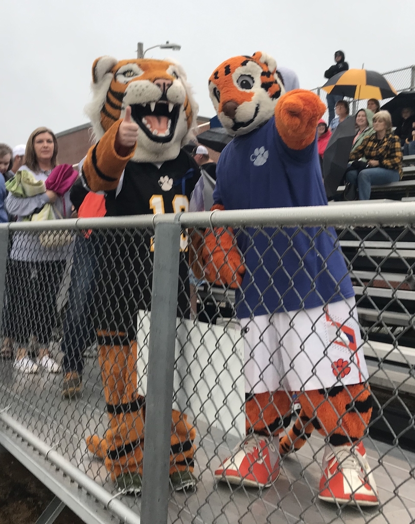Two Tigers