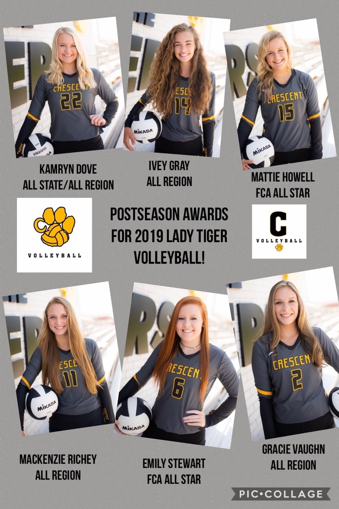 Vball